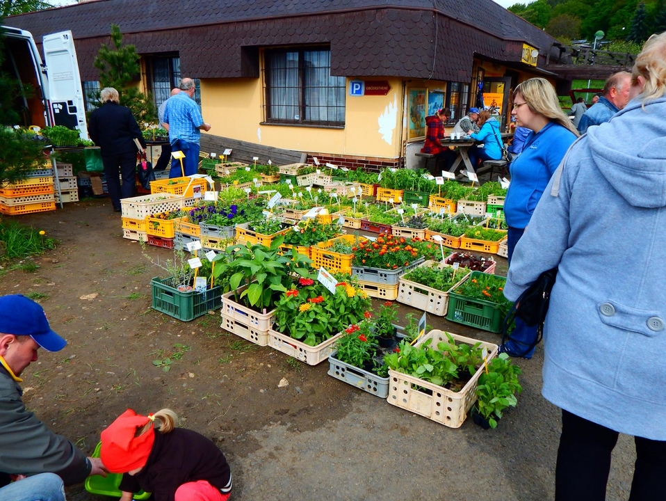 2015-07-10 18_31_23-Bleší trhy v Málkově u Chomutova